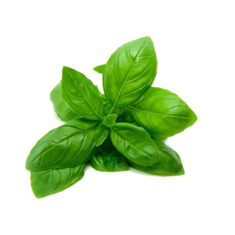 Basil (bunch)