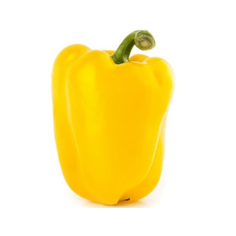 Capsicum - Yellow (ea)