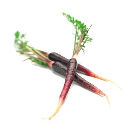 Carrots (Purple) - Dutch (bunch)