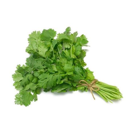 Coriander (bunch)