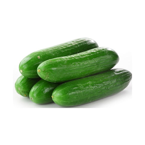 Cucumber - Lebanese