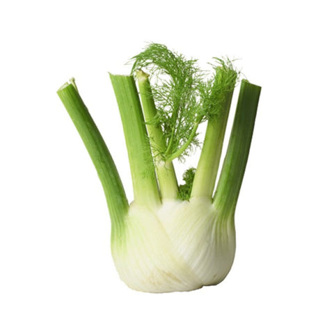 Fennel (ea)