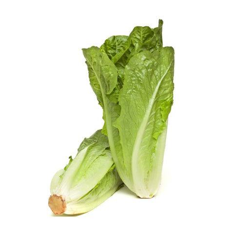Lettuce - Cos (ea)