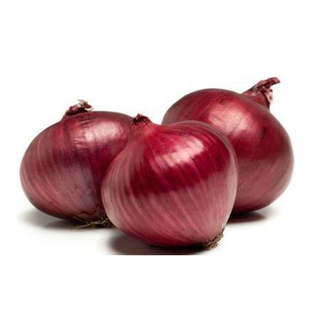 Onion - Red