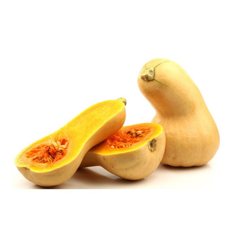 Pumpkin - Butternut