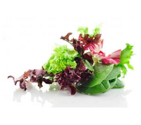 Salad Box (Mini Box)