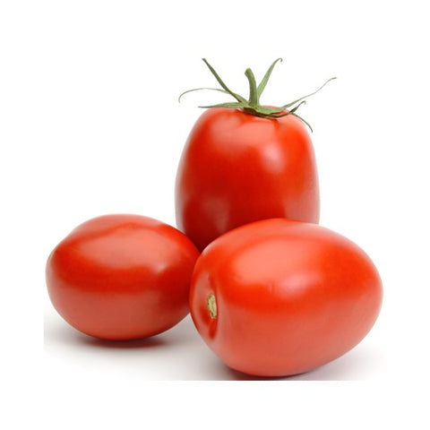 Tomatoes - Roma