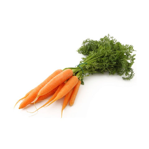 Carrots - Dutch (bunch)