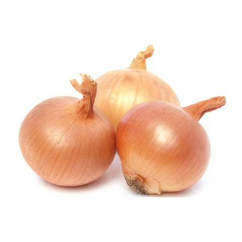 Onion - Brown
